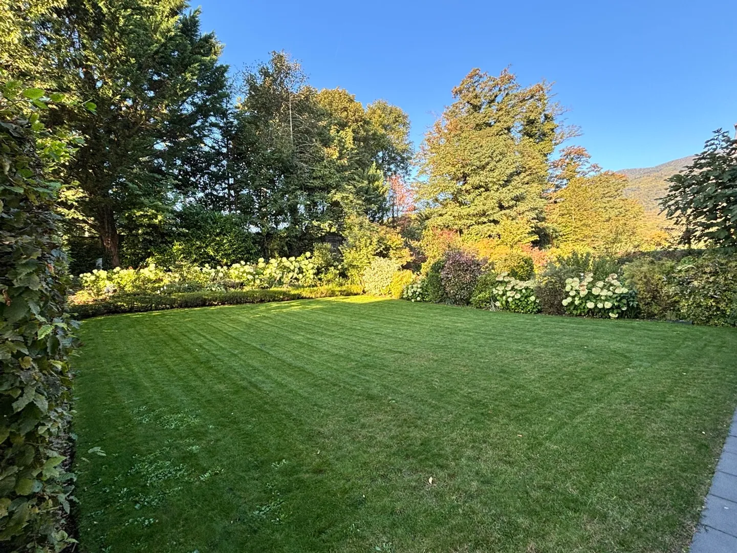 For rent: Large luxury apartment with terraces and garden - Photo 2 of 12