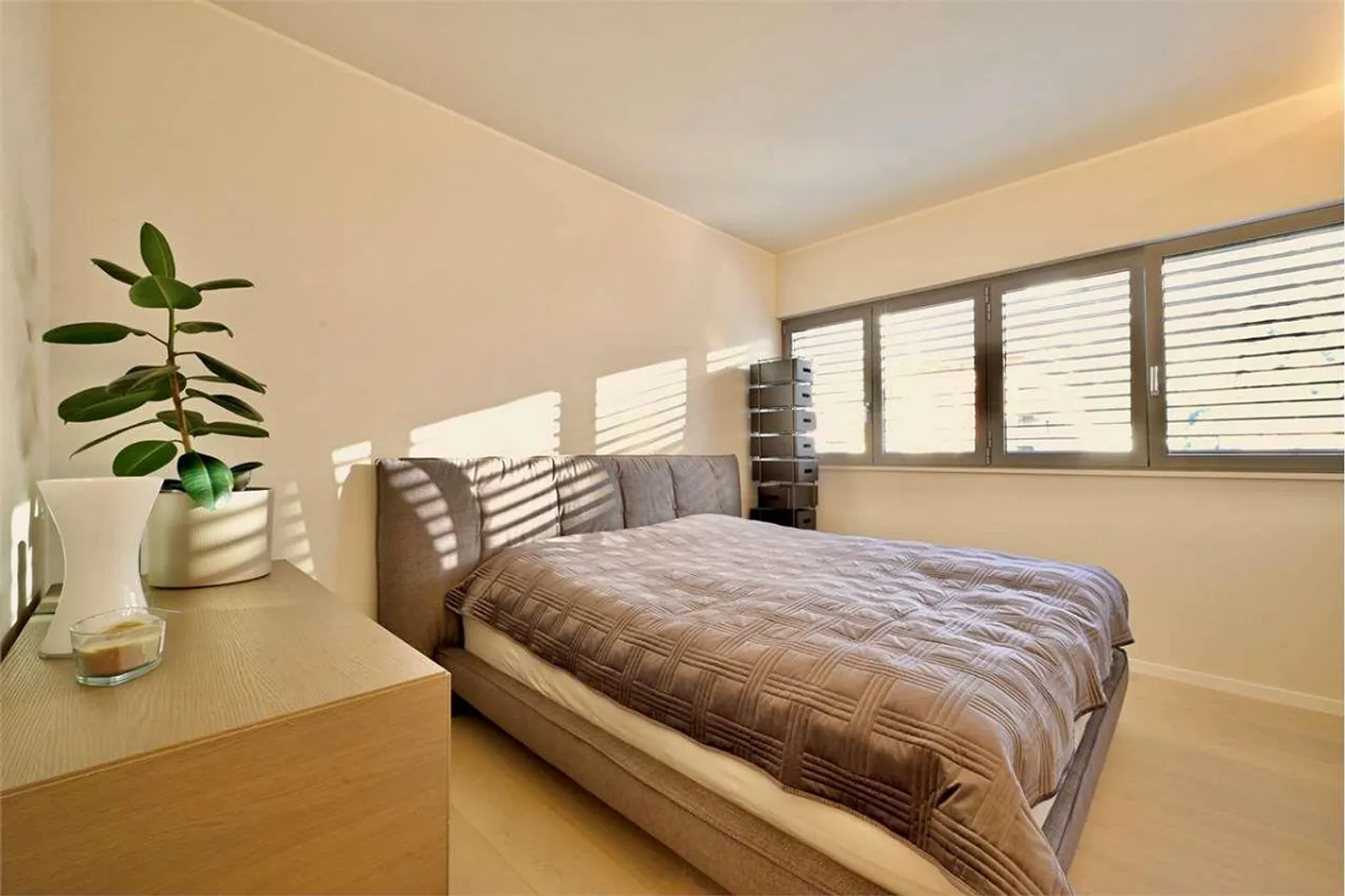 Nouvel appartement de 3,5 pièces à Cassarate - Photo 9 sur 13