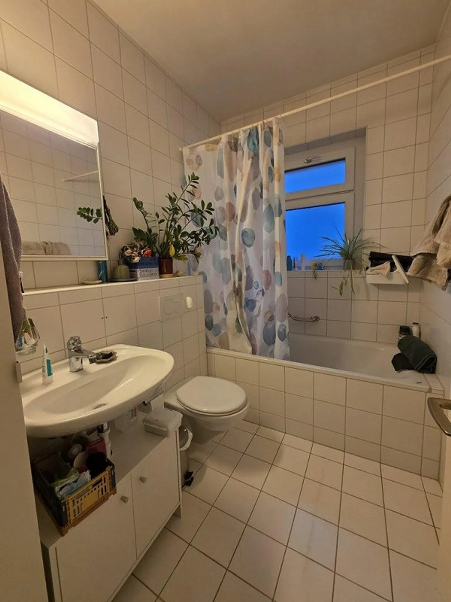 Appartamento 2.5 locali al piano rialzato con grande terrazza - Foto 5 di 7