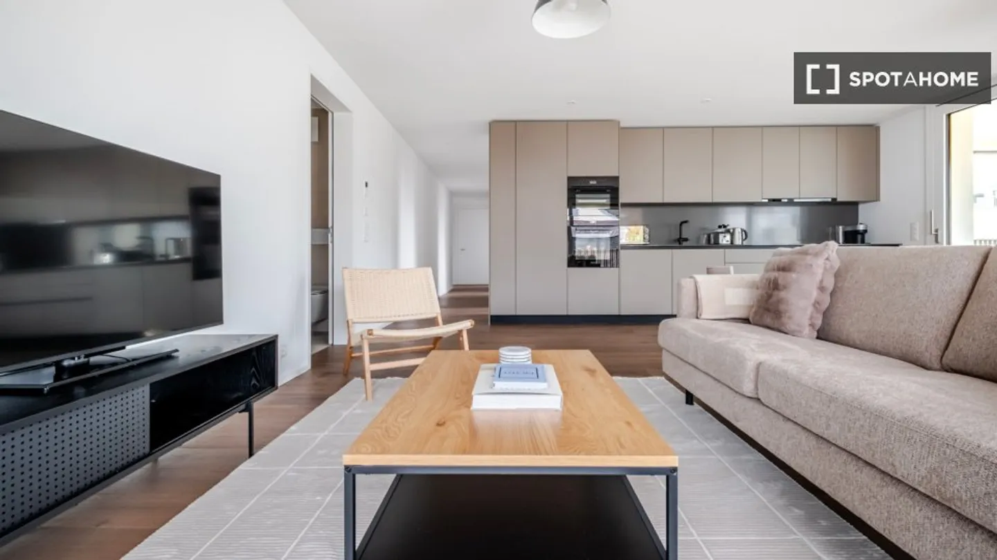 Appartamento Incantevole a Zurigo - Foto 2 di 18