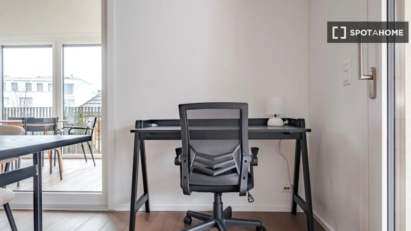 Appartamento Incantevole a Zurigo - Foto 3 di 18