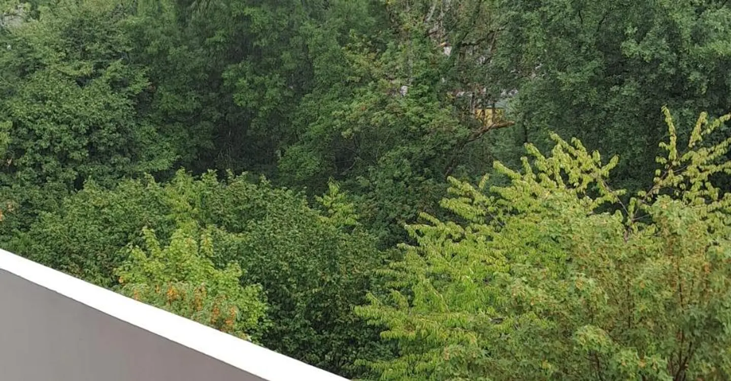 Bel appartement de 3.5 pièces - Photo 4 sur 9