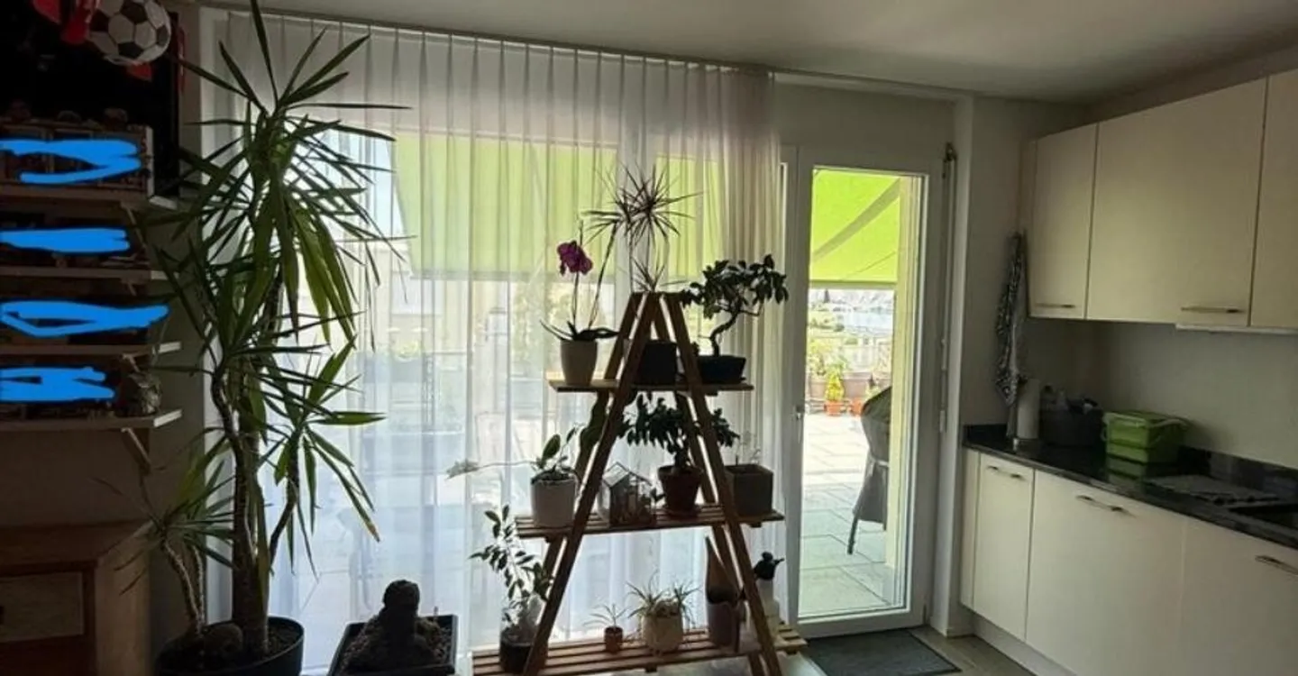 Moderno appartamento attico con grande terrazza in affitto - Foto 2 di 10