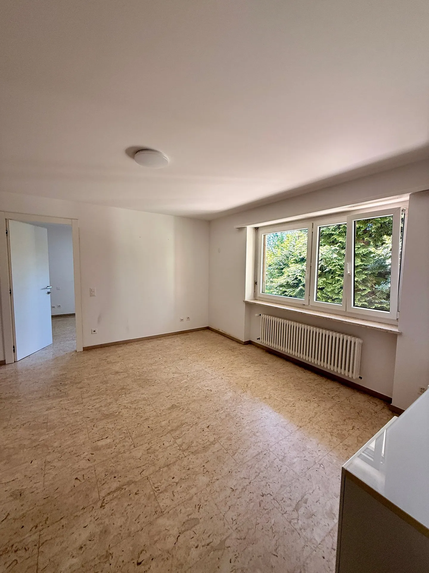 BOSCO LUGANESE - Appartamento 2,5 locali in affitto - Foto 3 di 7