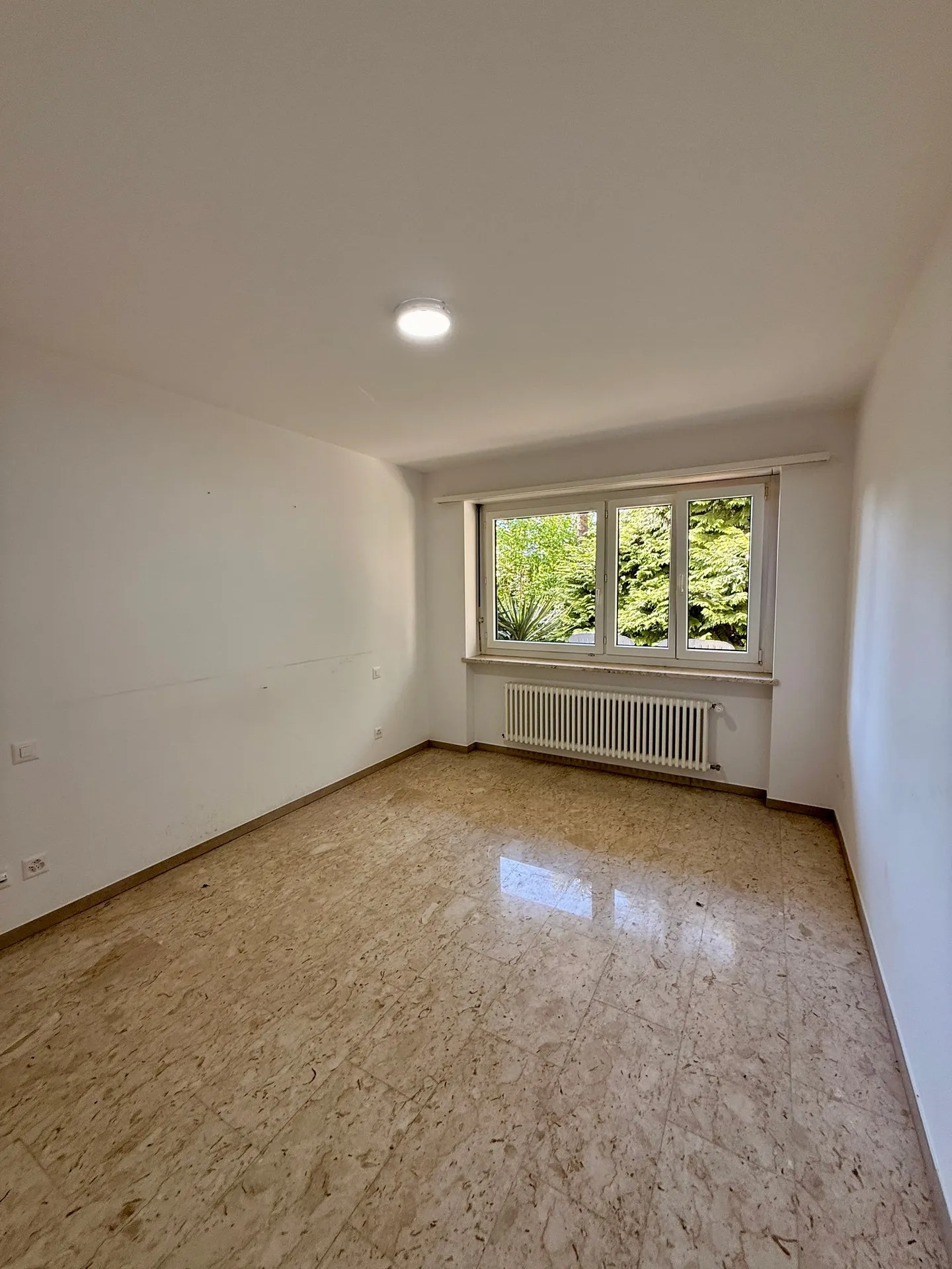 BOSCO LUGANESE - Appartamento 2,5 locali in affitto - Foto 4 di 7