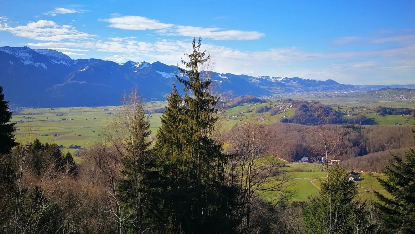 Dreamlike building plot with panoramic view - single-family home feasible - Photo 10 of 13