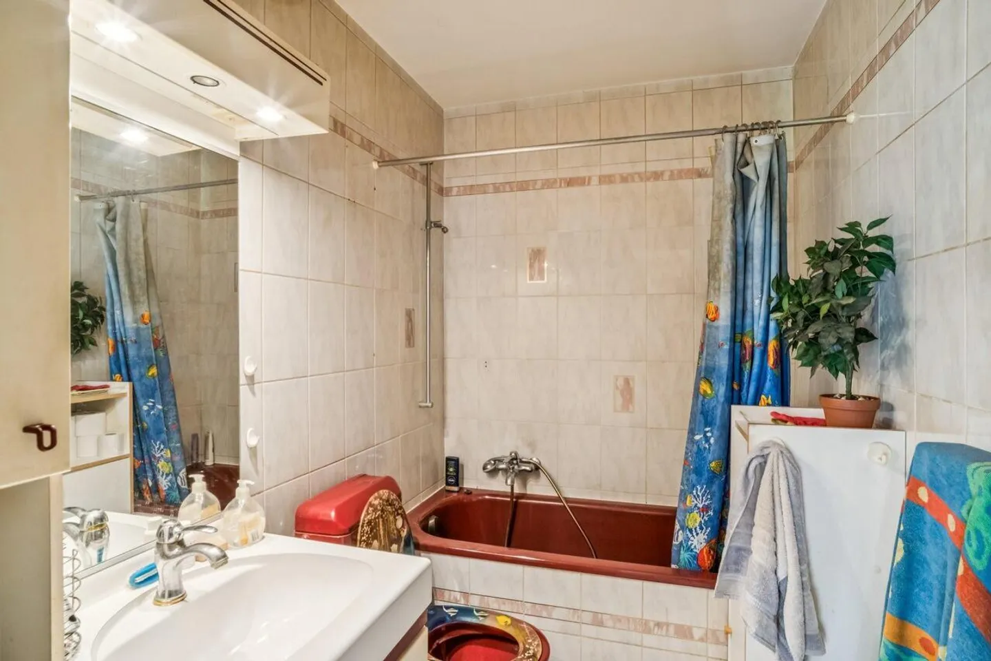 Appartamento in Viaggio occupato senza affitto limitato a 15 anni - Foto 9 di 12