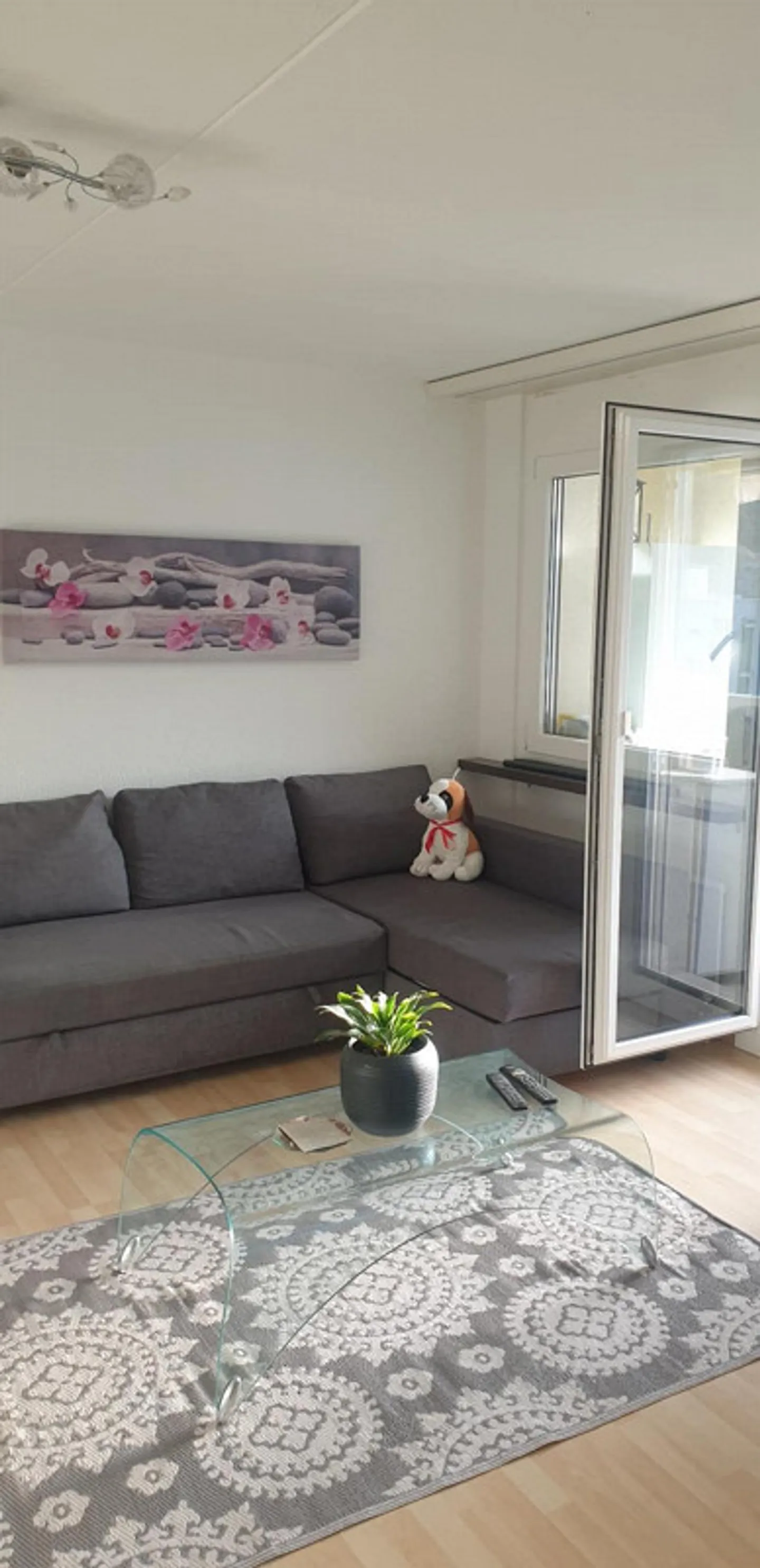 Recherche de sous-location - Photo 4 sur 6