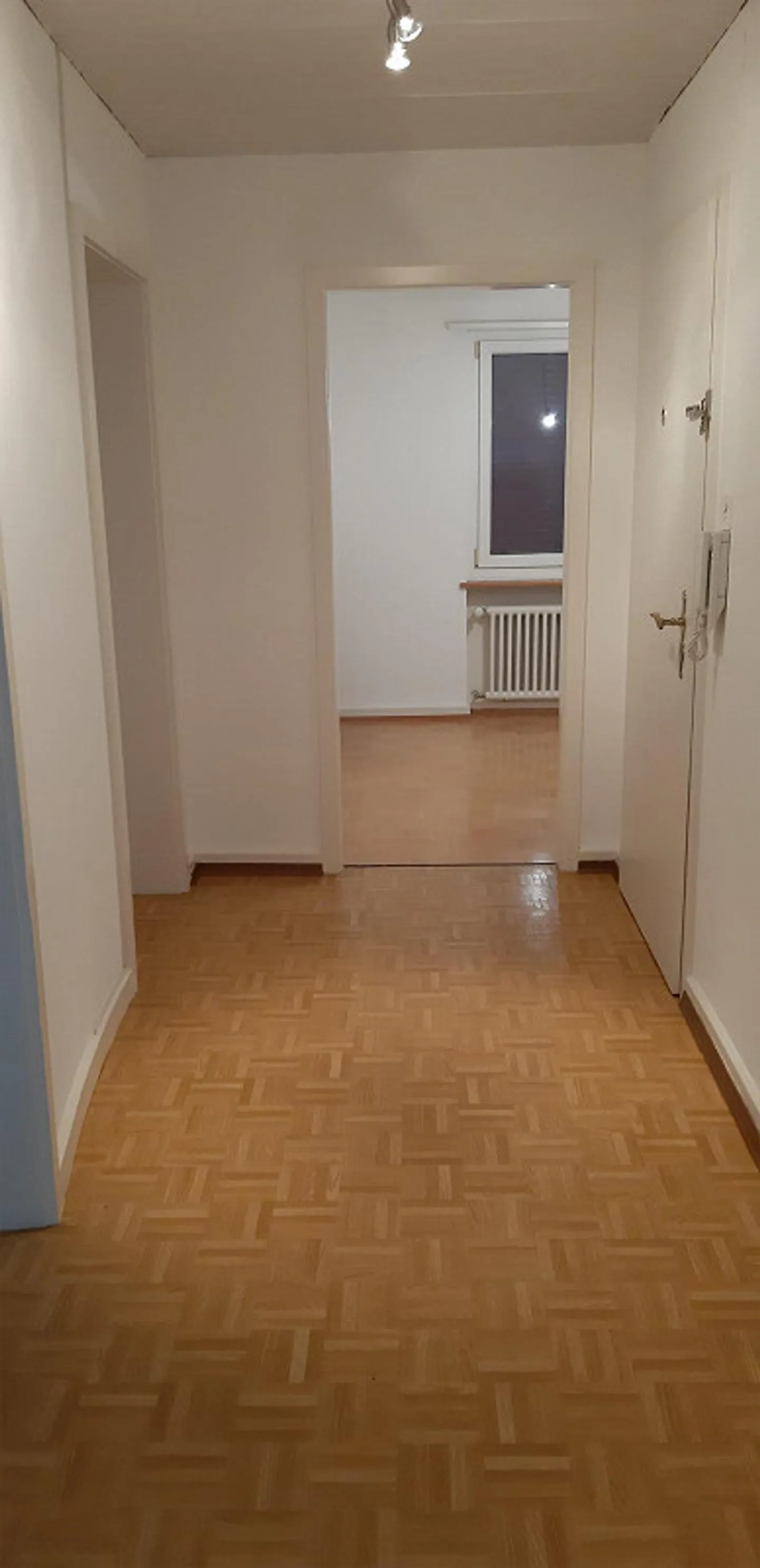 Gemütliche Wohnung in Allschwil - Foto 5 von 8