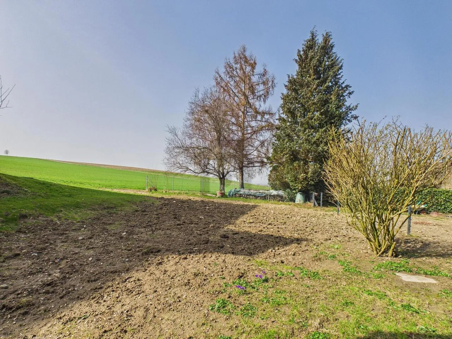 CON GIARDINO PRIVATO DIRETTAMENTE SULLA ZONA AGRICOLA - Foto 5 di 6