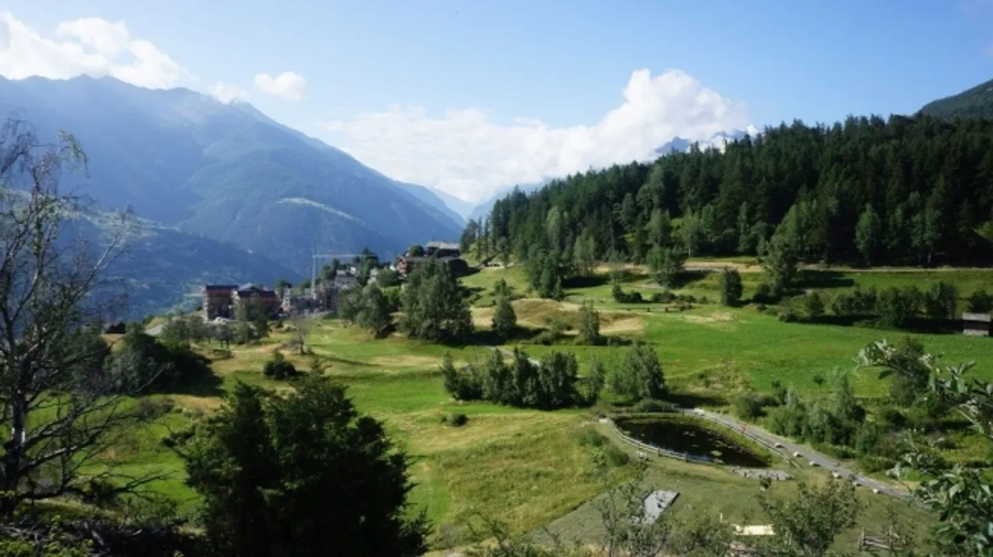 Vivre sur le plateau ensoleillé – Appartement de 3,5 pièces avec vue - Photo 10 sur 12