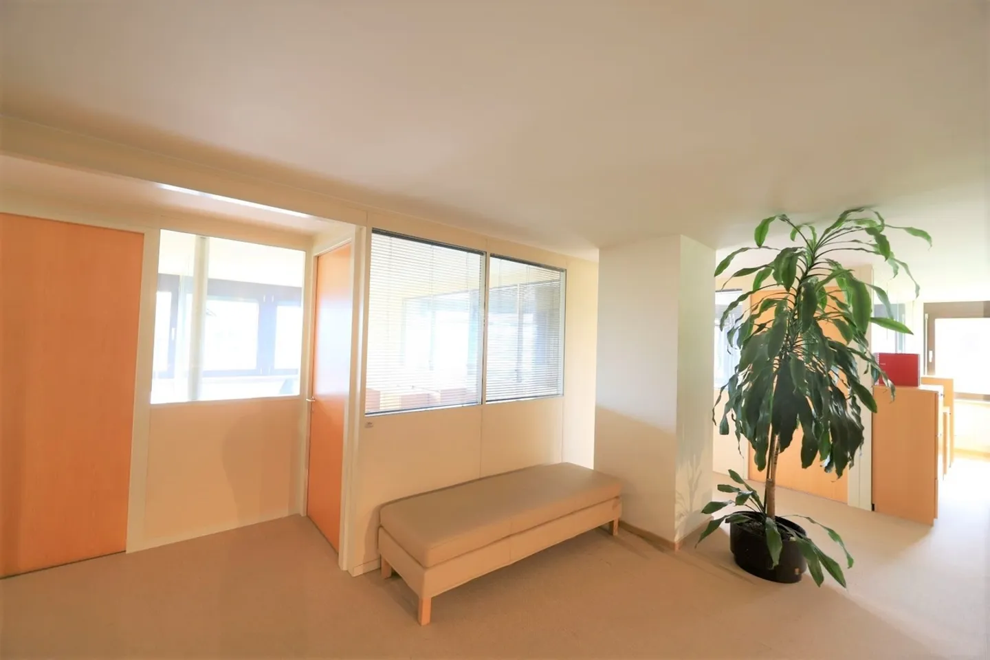 Office Spaces for Rent in Tannay - Photo 4 of 7