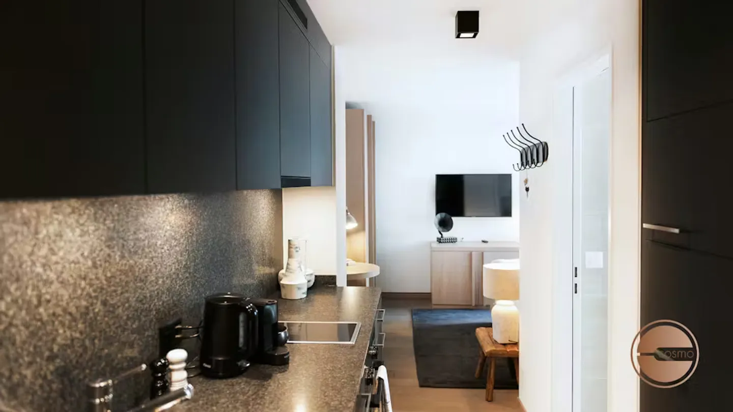 Chic Apartment in Zürich - Photo 5 of 10