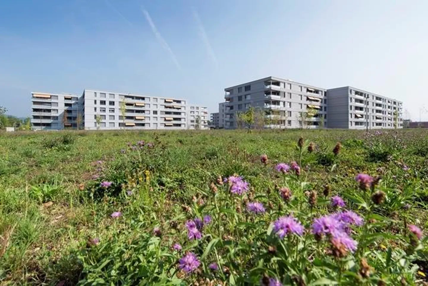 ***Appartement 3.5 pièces*** Balcon couvert de 14m2*** - Photo 1 sur 9