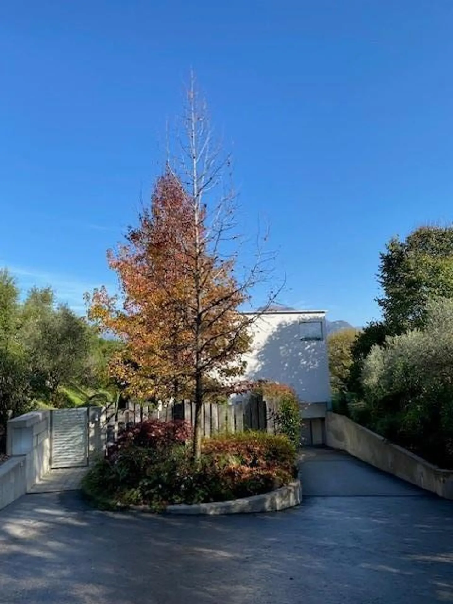 Appartamento di Lusso con Vista Lago - Foto 2 di 19