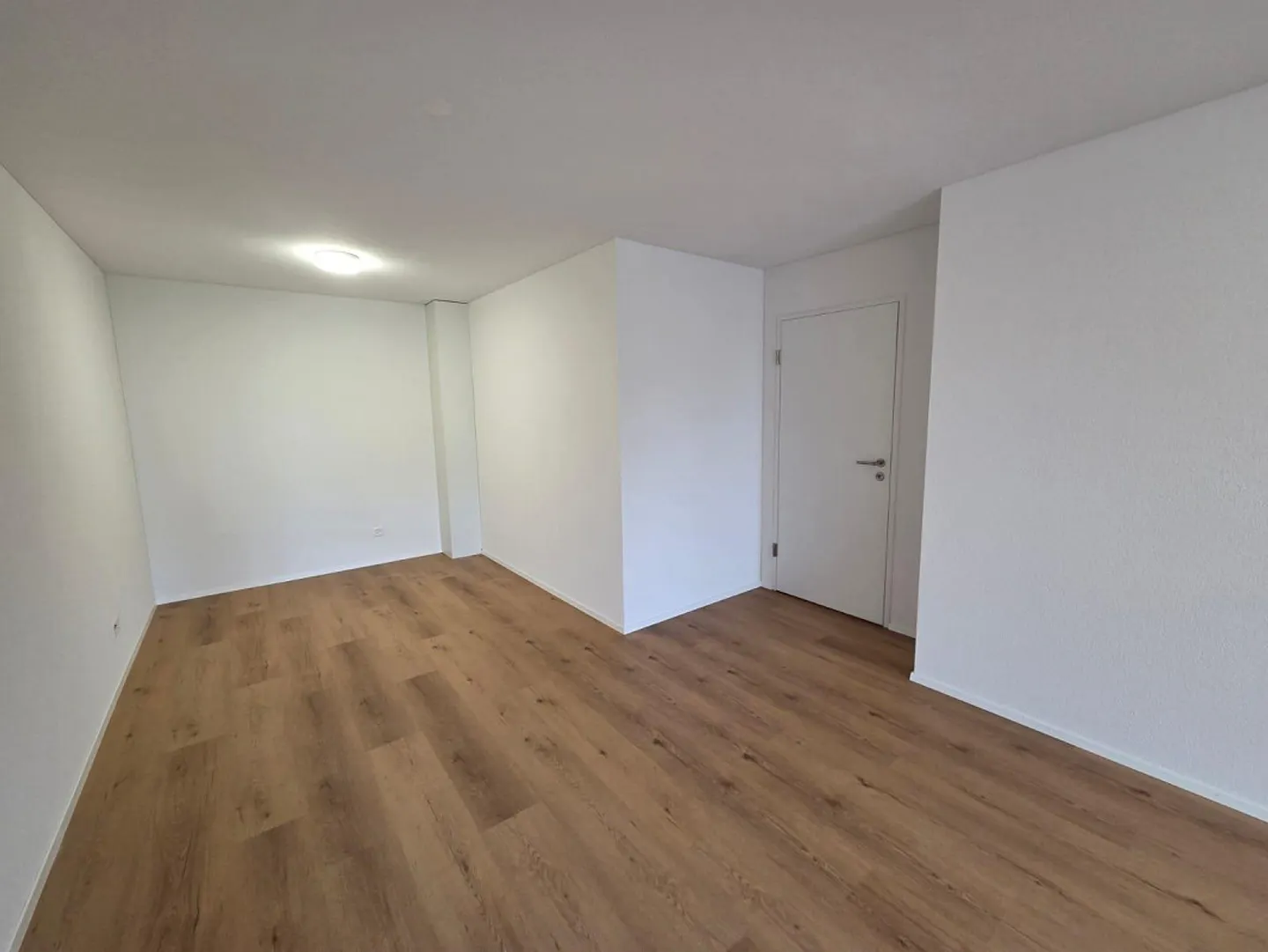 Nuova sala multifunzionale luminosa - ingresso a livello del suolo - vista montagna - Foto 2 di 8