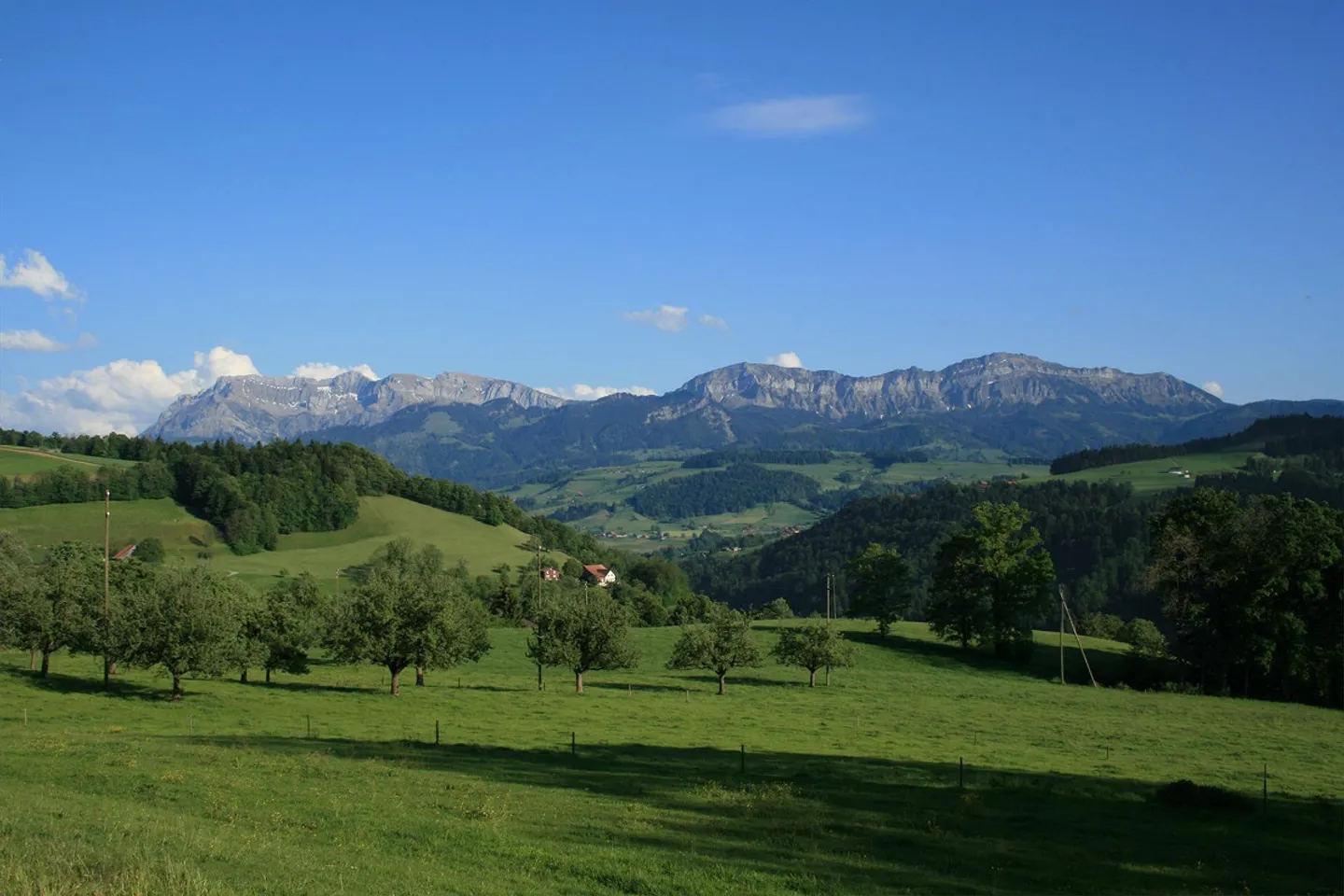 Nuova sala multifunzionale luminosa - ingresso a livello del suolo - vista montagna - Foto 7 di 8
