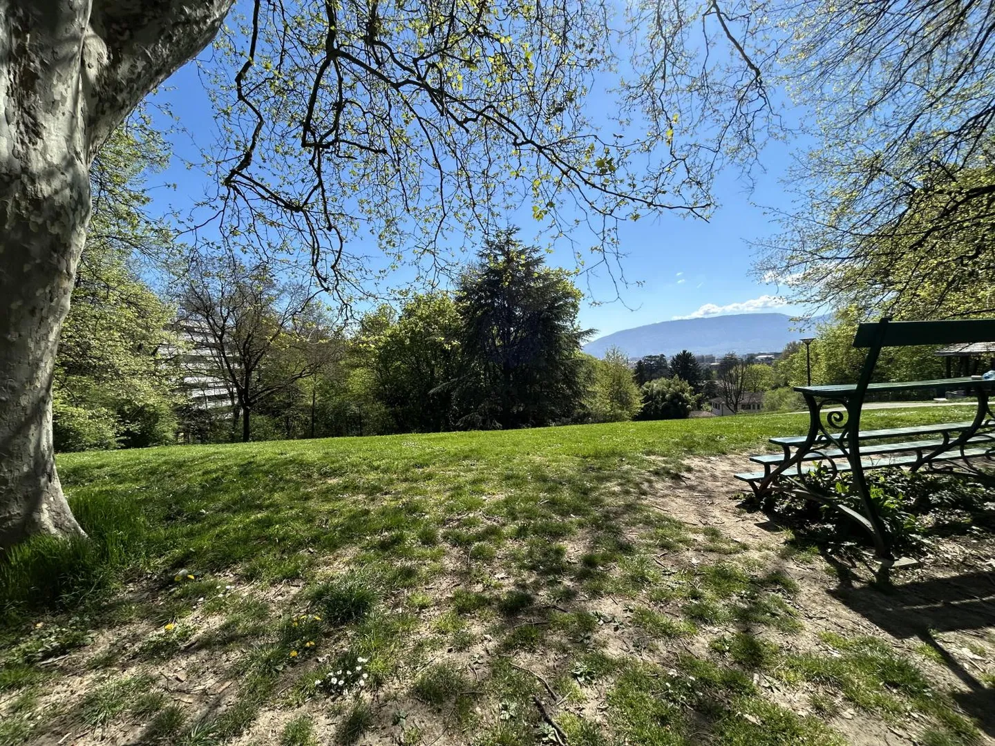 Attico 4.5 stanze - Foto 14 di 14