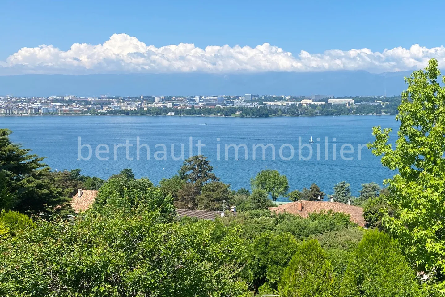 COLOGNY - Villa with breathtaking lake view - Photo 1 of 1