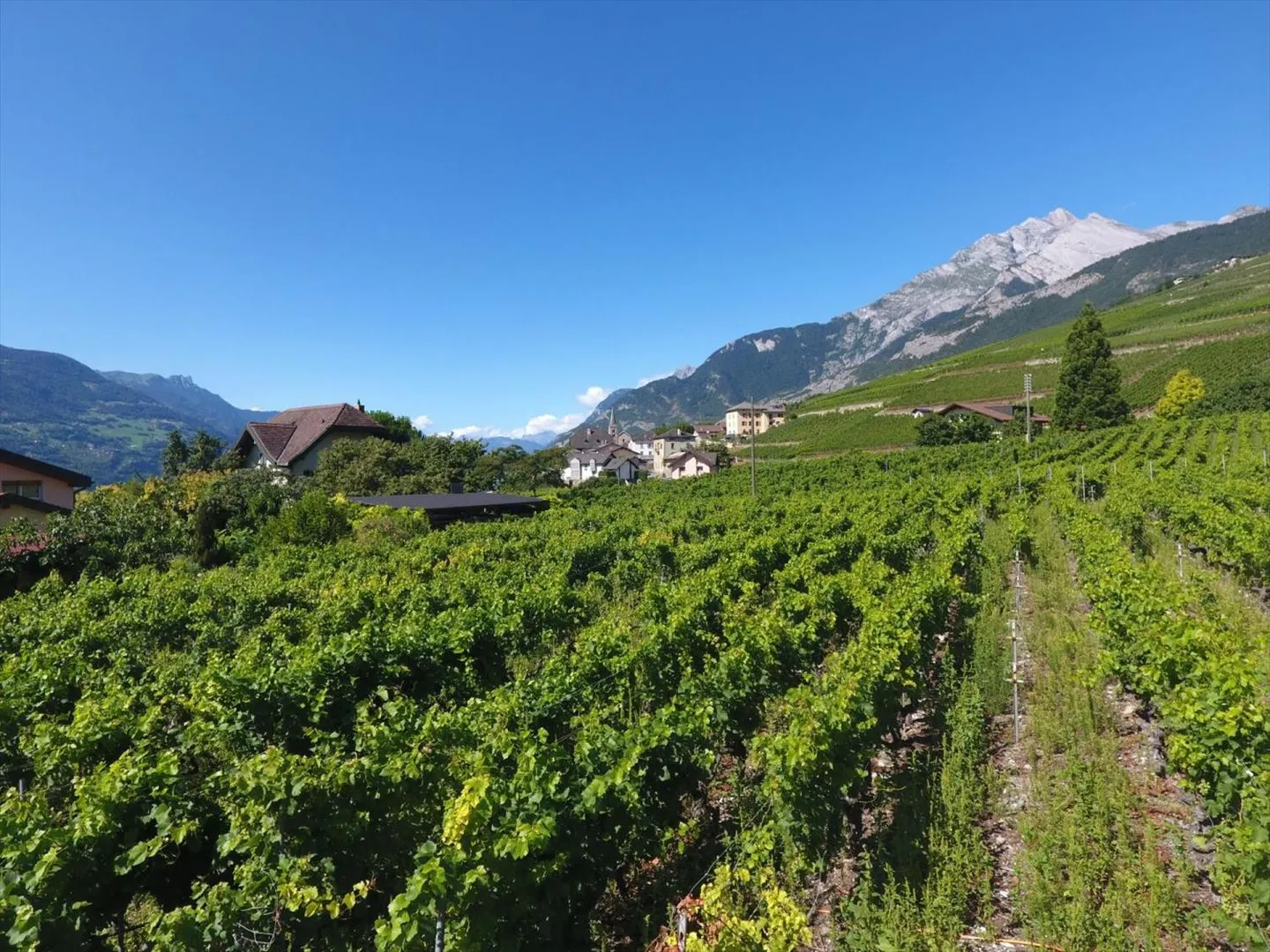 5.5 room semi-detached villa in St-Séverin - Photo 6 of 13