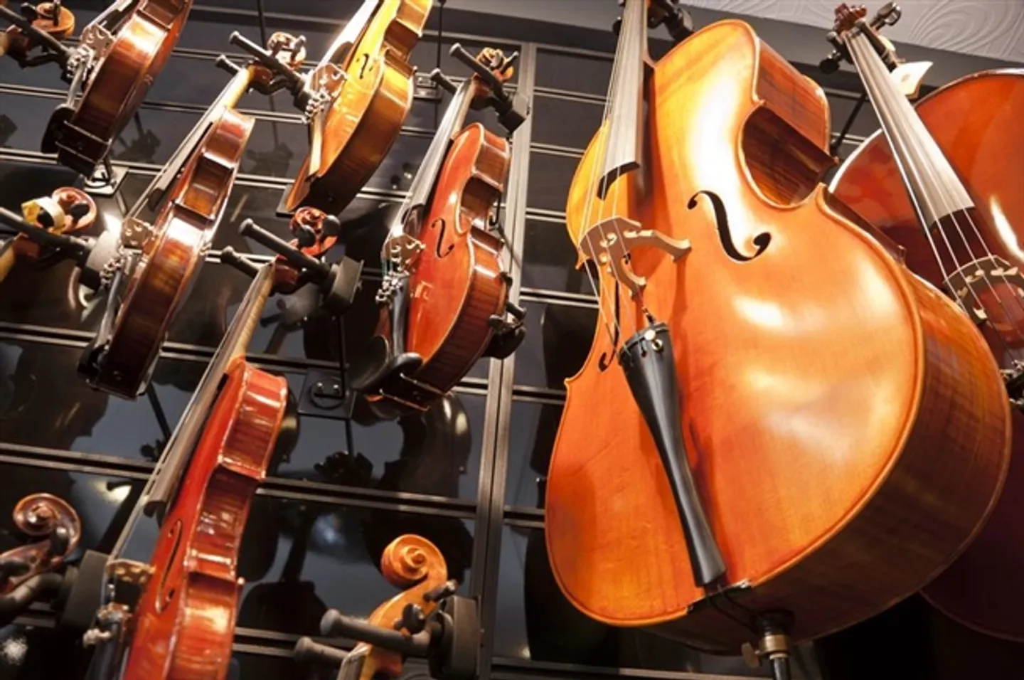 Yverdon Music Instrument Store for Sale - Photo 1 of 1