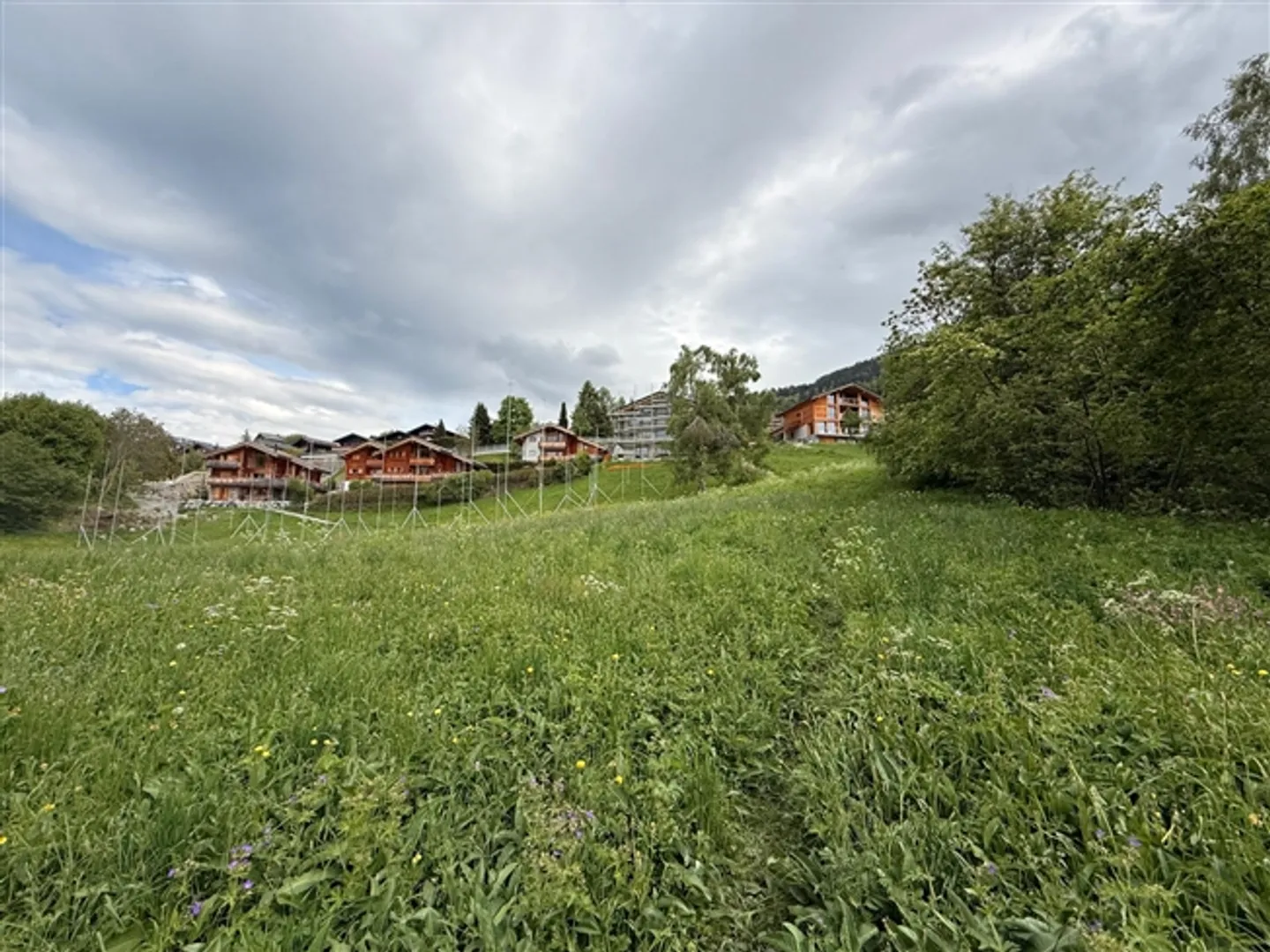 Lot de 2 magnifiques terrains - Photo 3 sur 4