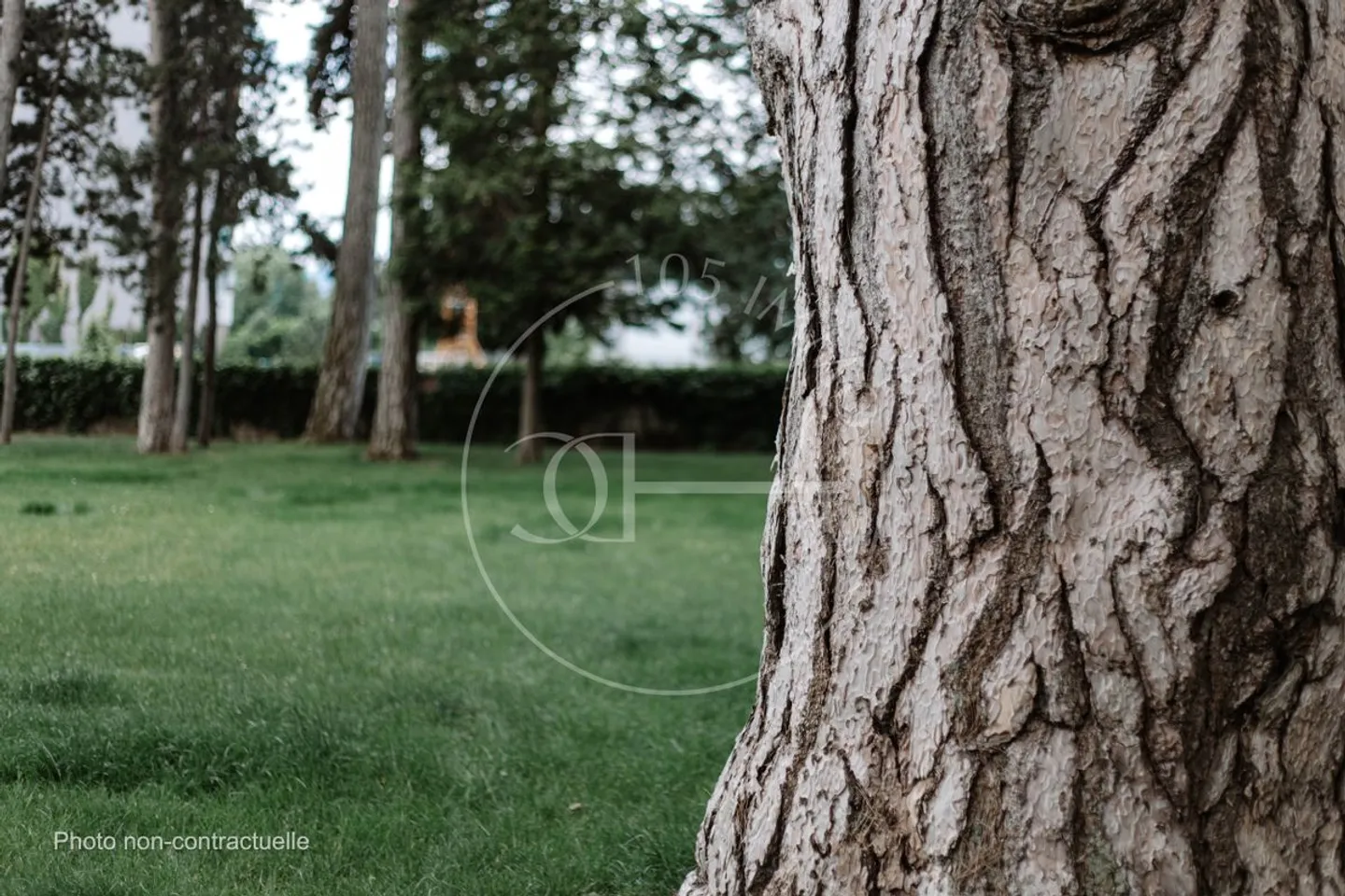 Exklusiv: Sehr schöne Villa mit Pool und unabhängigem Studio - Foto 1 von 1