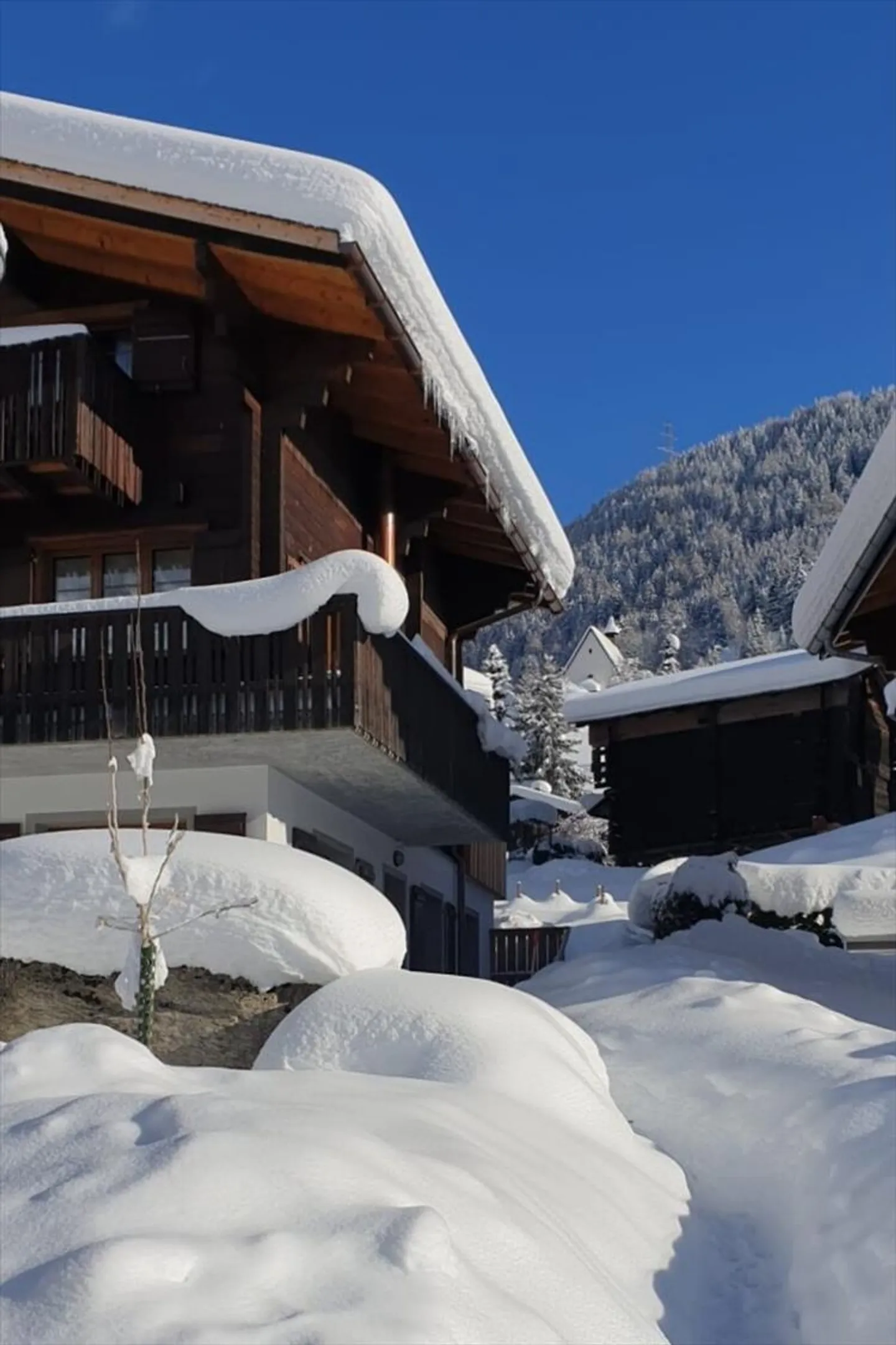 Cozy Valais Chalet with Two Apartments in Mühlebach - Photo 3 of 13