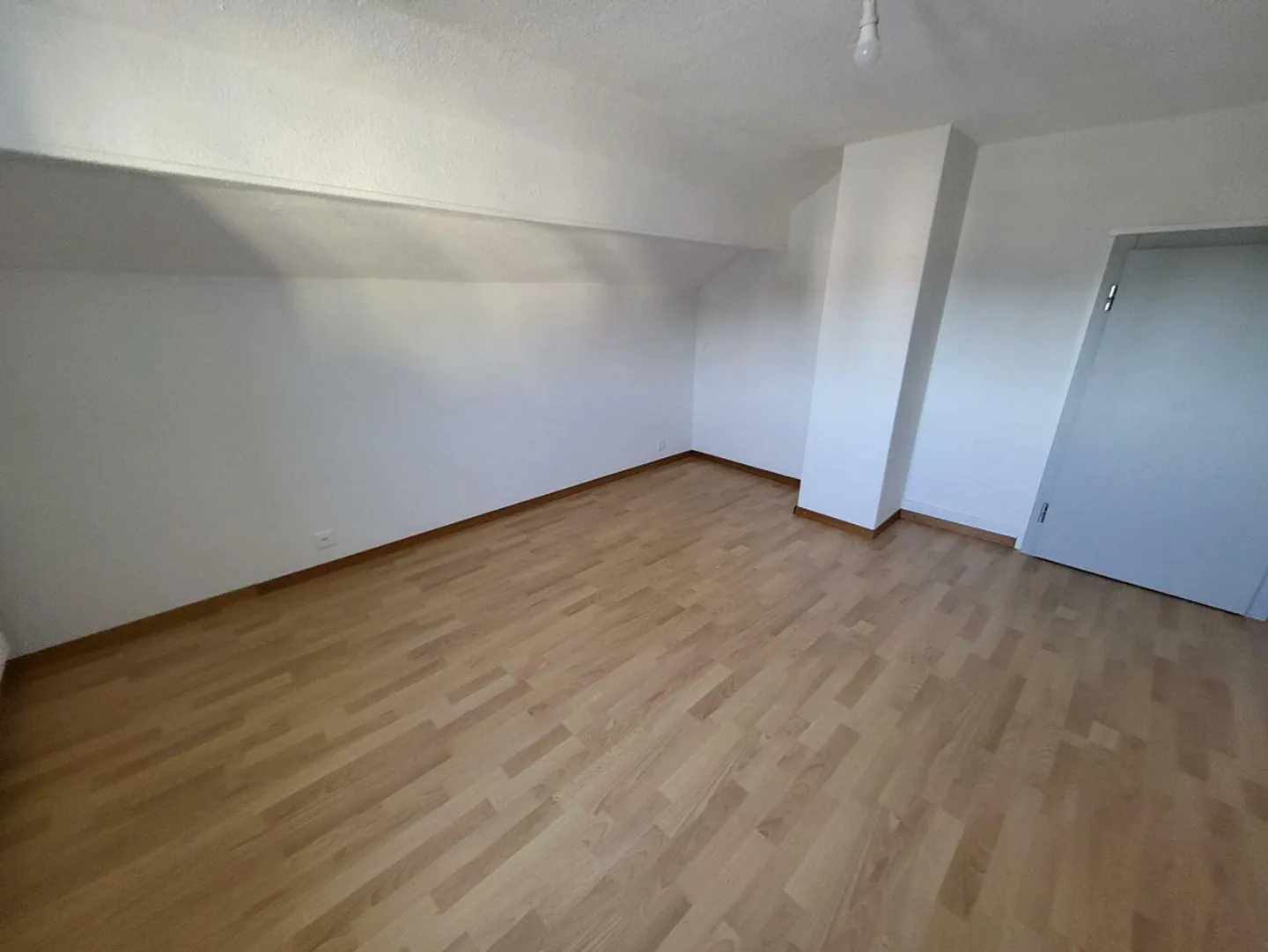 Magnifique duplex entièrement rénové avec grand balcon - Photo 6 of 12