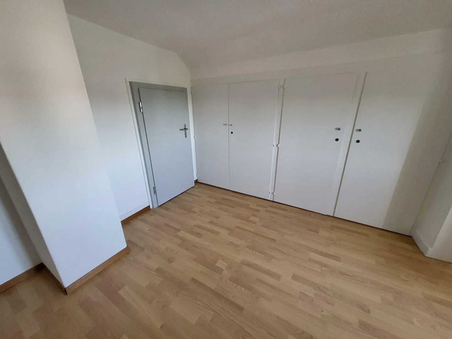 Magnifique duplex entièrement rénové avec grand balcon - Photo 7 of 12