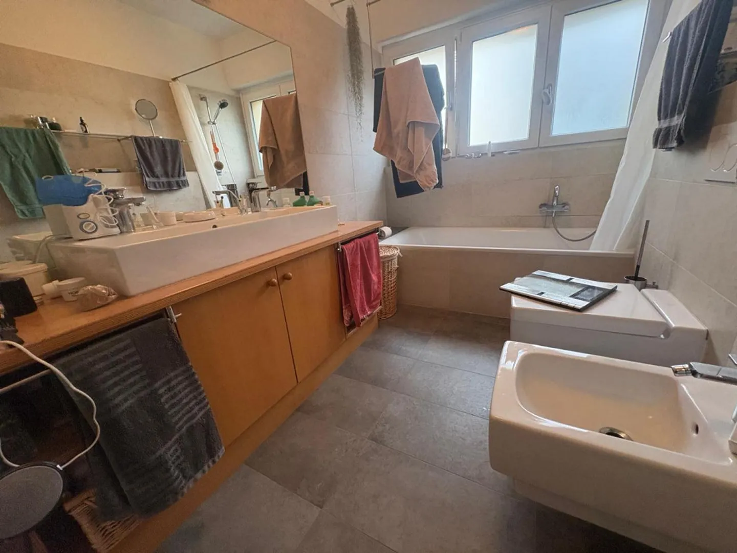 9-Room Villa with Large Garden, Very Quiet, Sunny View - Photo 12 of 36