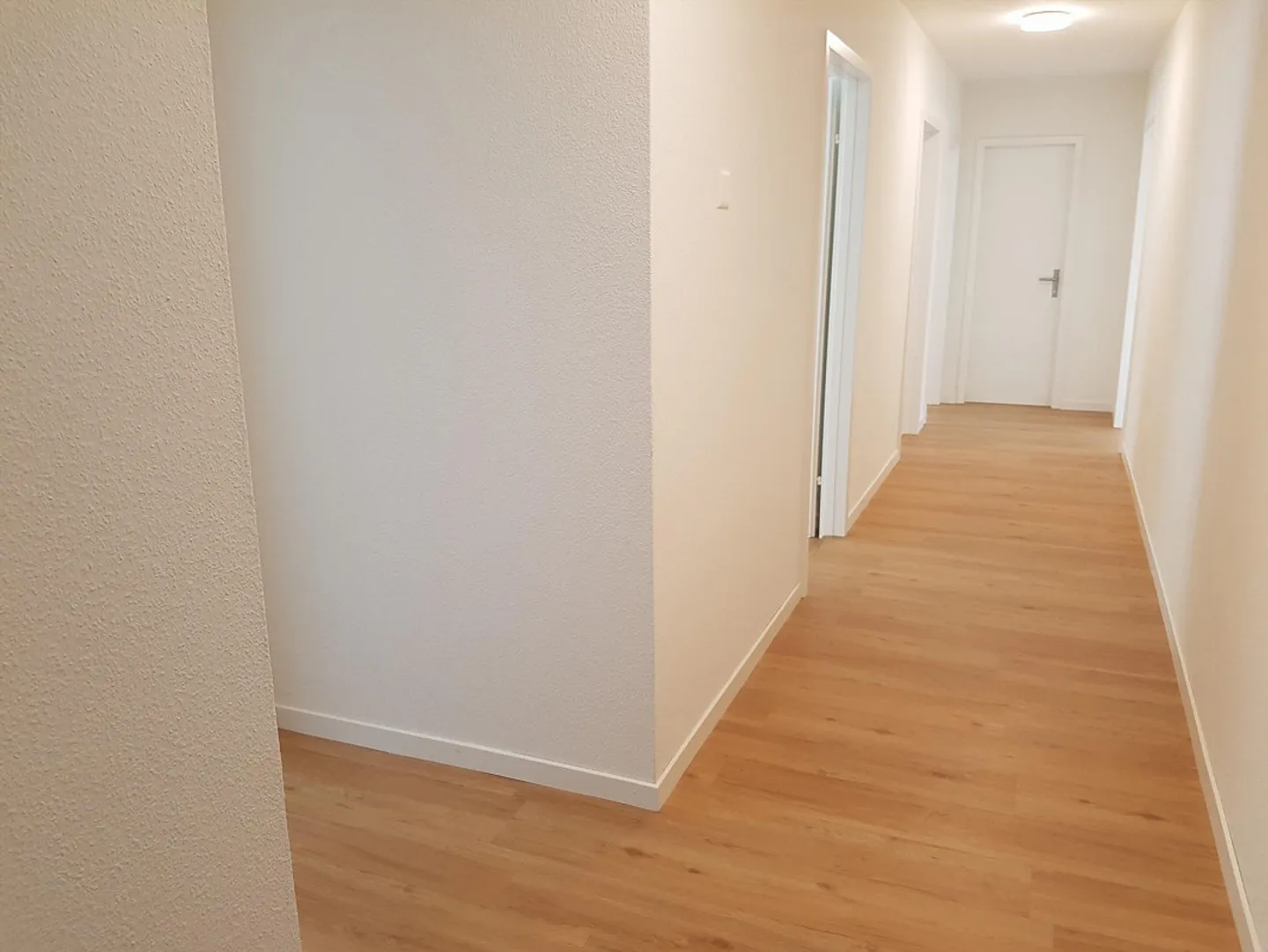 3.5 Room Apartment - Photo 6 of 7