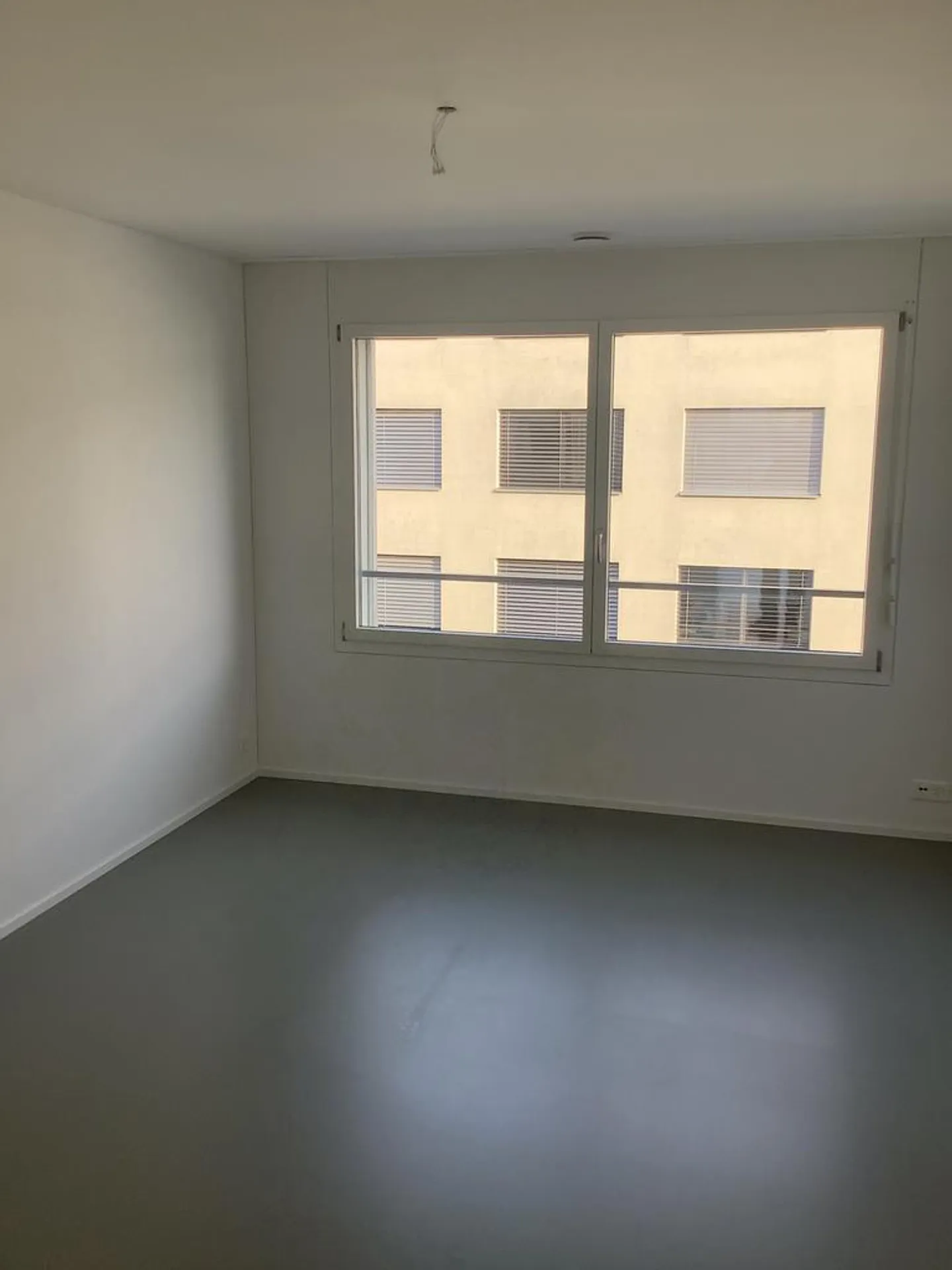 3.5 Room Apartment - Photo 6 of 9