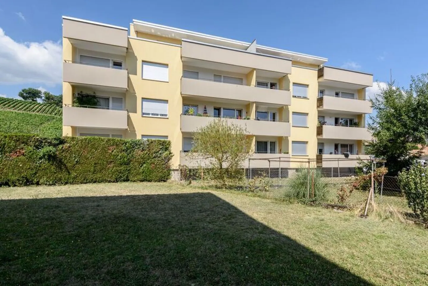 In affitto! - Foto 1 di 1