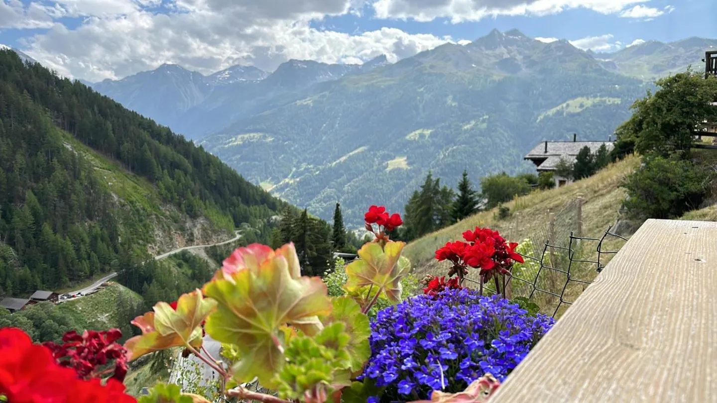 Chalet Le Nid: Alpiner Komfort - Foto 19 von 19