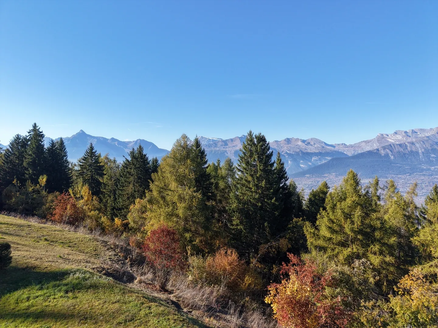 La Barlettaz - Dominio Eccezionale nel Cuore delle Alpi Vallesi - Foto 14 di 15