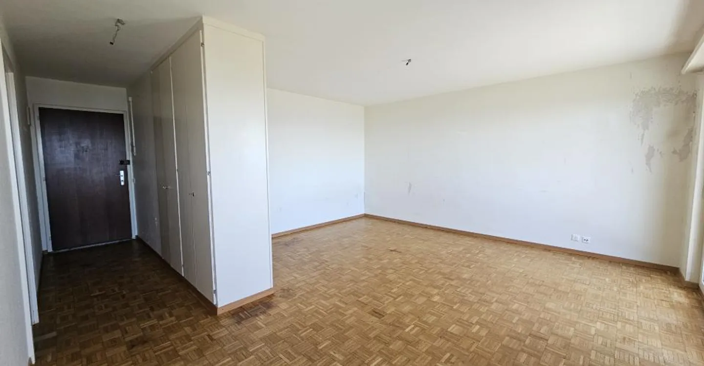 Studio moderne avec vue lac - Photo 2 sur 7