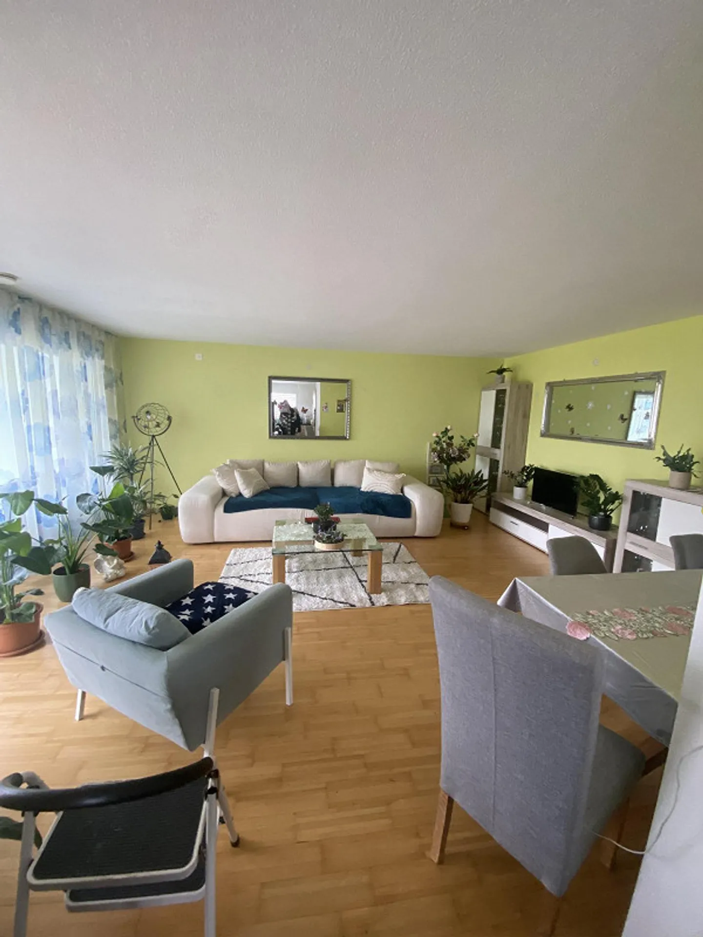 Sonnige 3.5 Zimmerwohnung mit Bergsicht - Foto 3 von 6