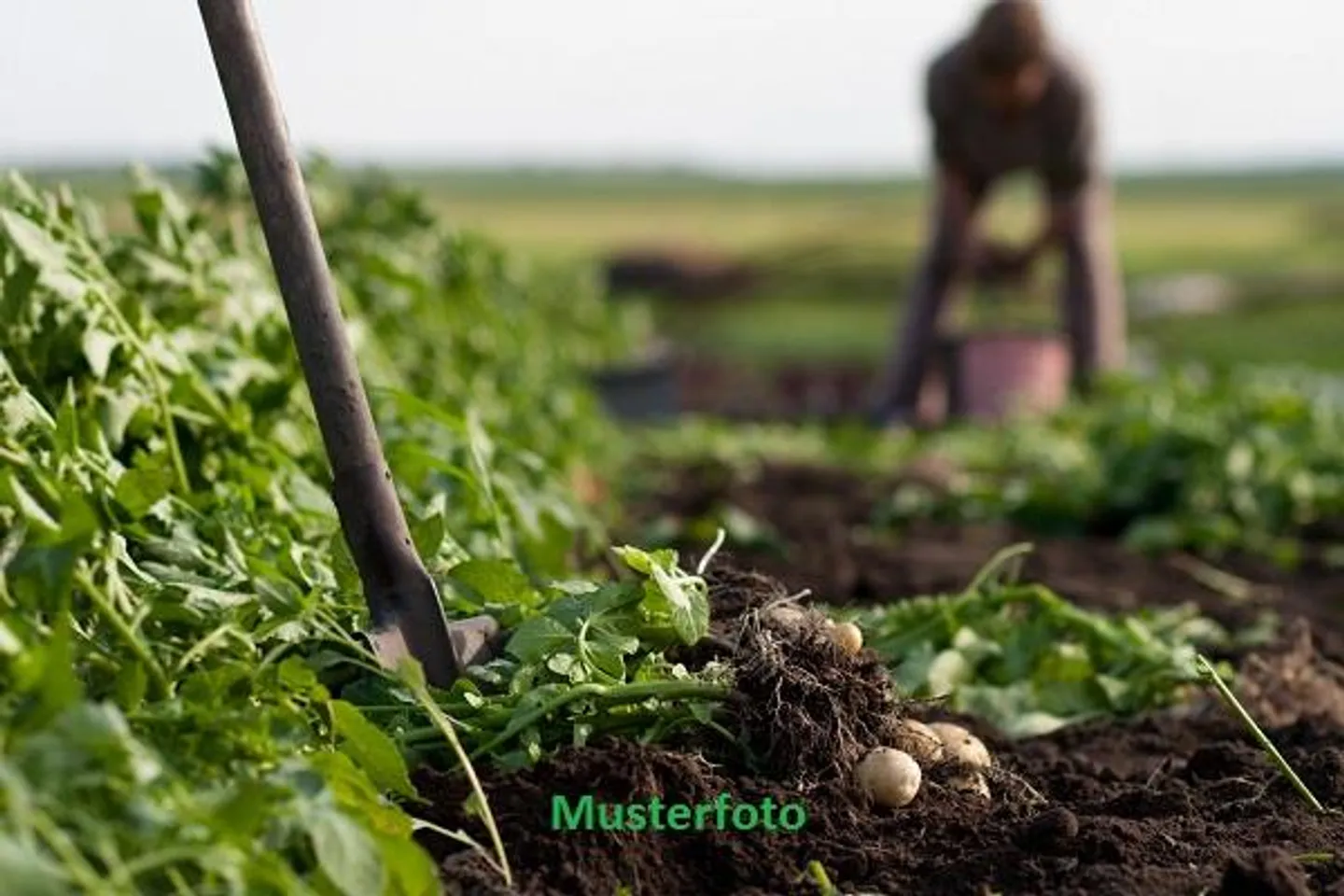 Abitazione - Foto 1 di 13