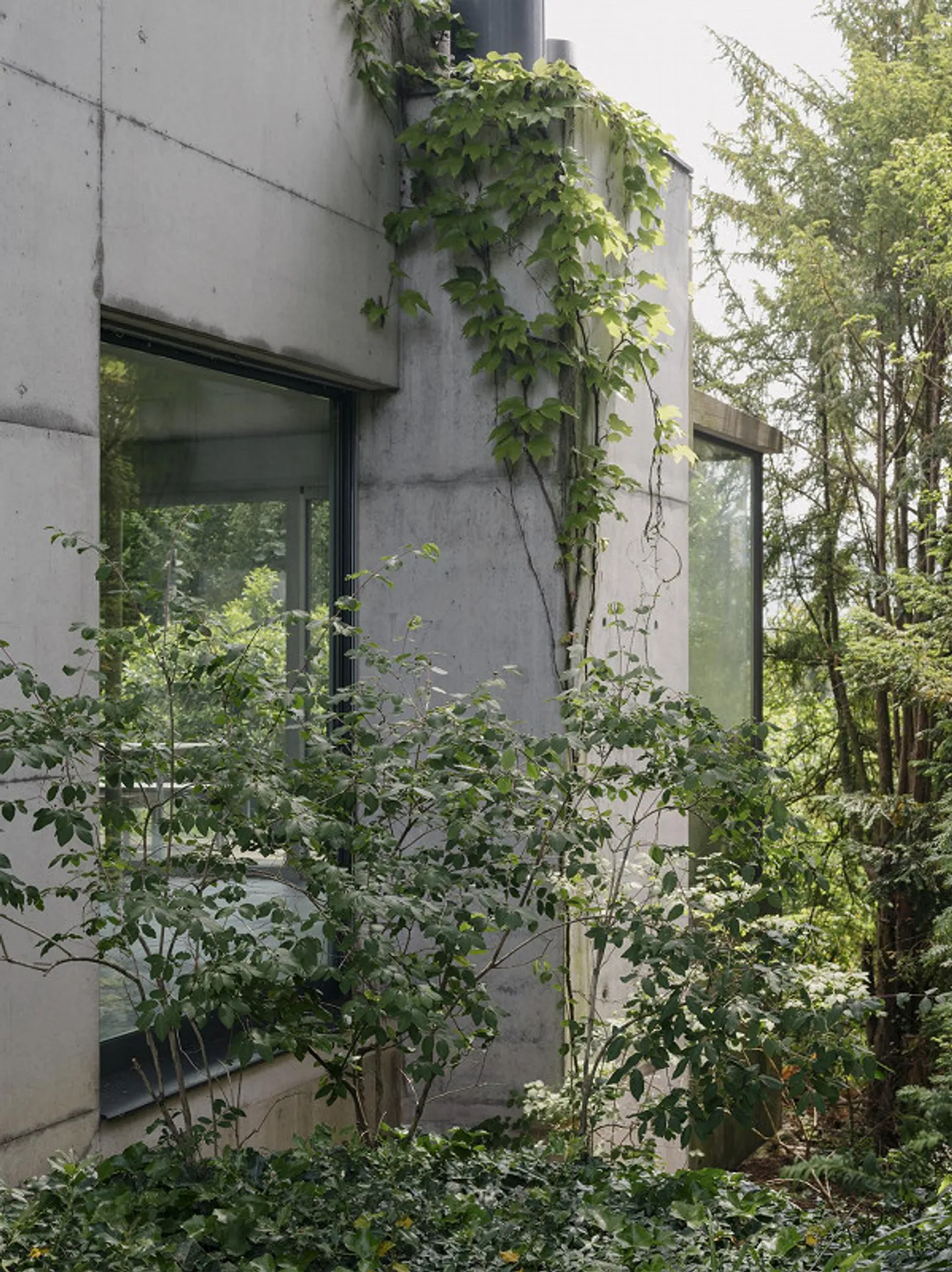 Modern single-family house with stunning views at Rosenberg - Photo 3 of 22