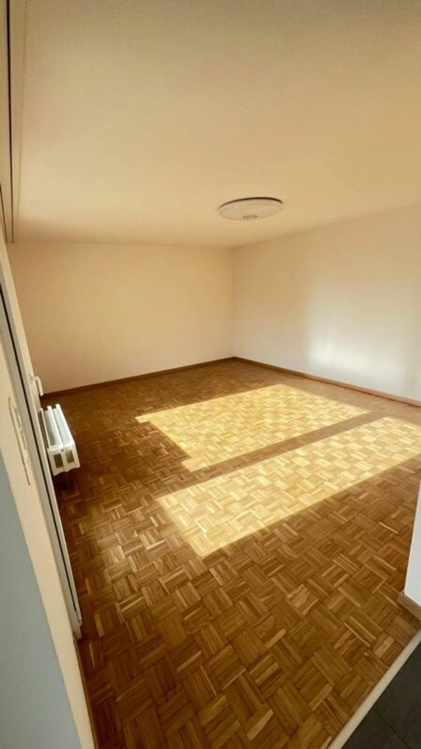 Charmant Chalet Suisse - Photo 4 sur 12