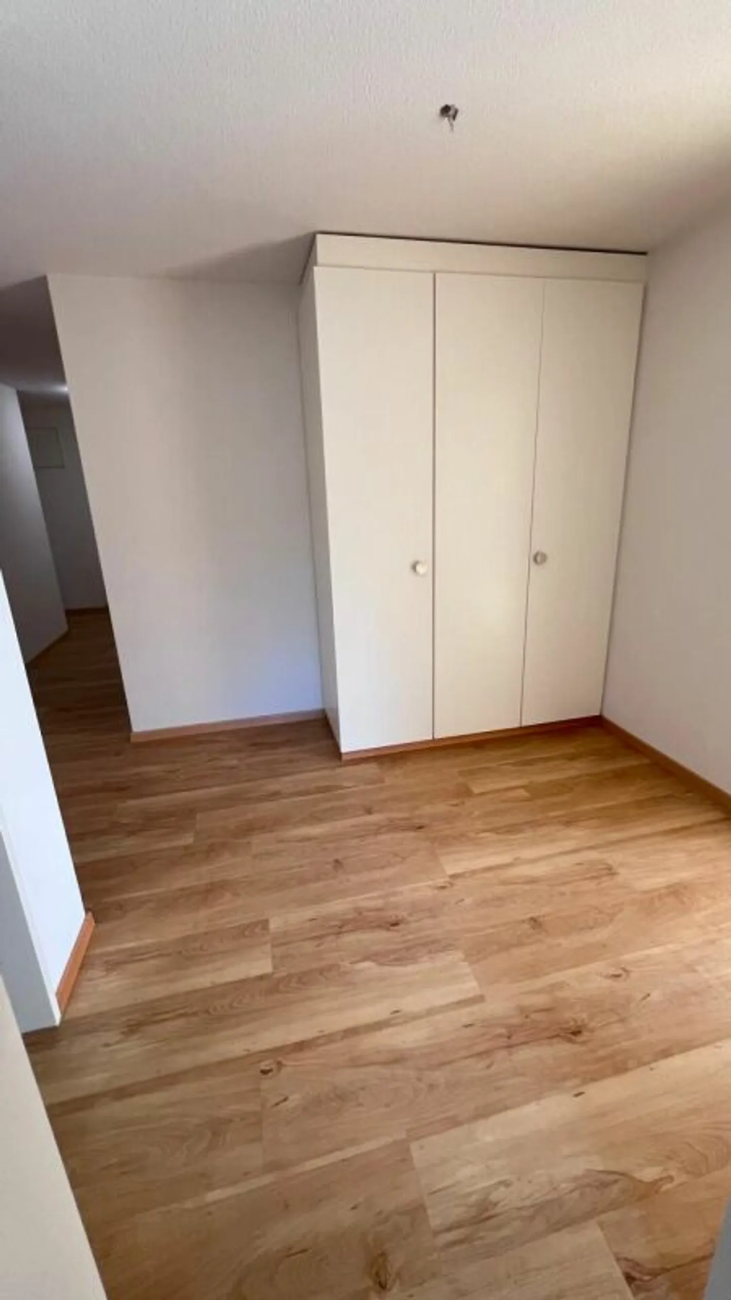 Charmant Chalet Suisse - Photo 6 sur 12