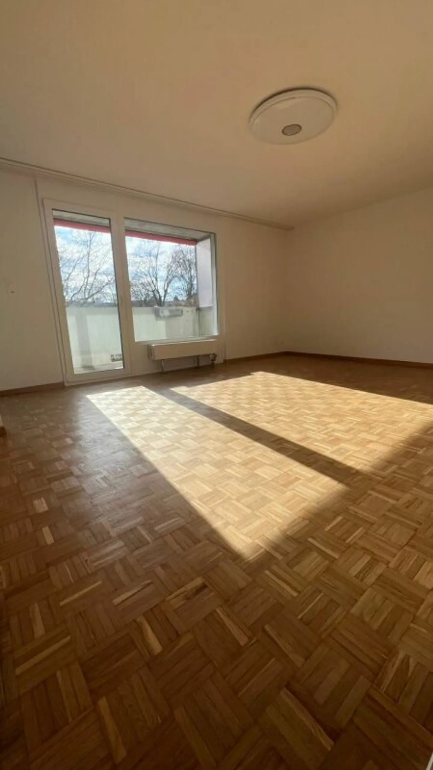 Charmant Chalet Suisse - Photo 3 sur 12