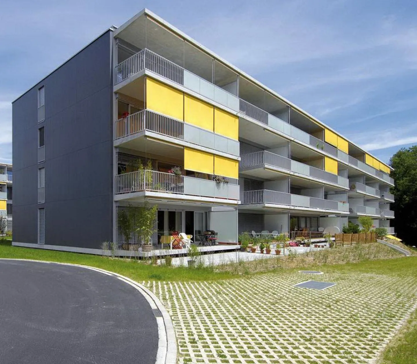 Group visit on Wednesday 12.11.2025 from 18:00 to 19:00 - Photo 1 of 1