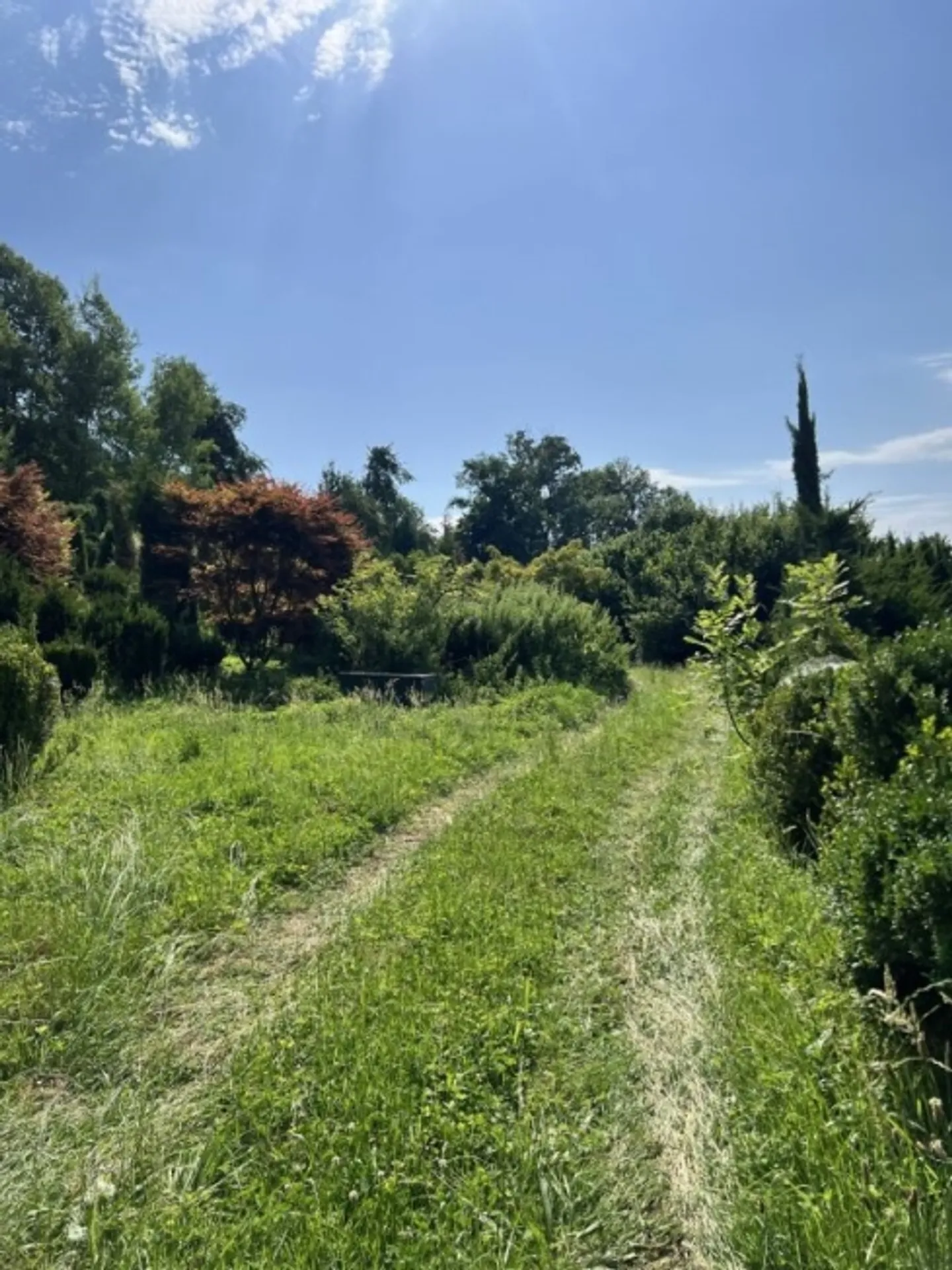 Land for Lease - approx. 2,500 m² - Photo 1 of 5