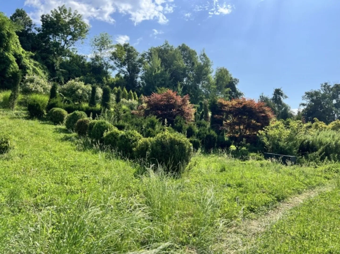 Land for Lease - approx. 2,500 m² - Photo 2 of 5