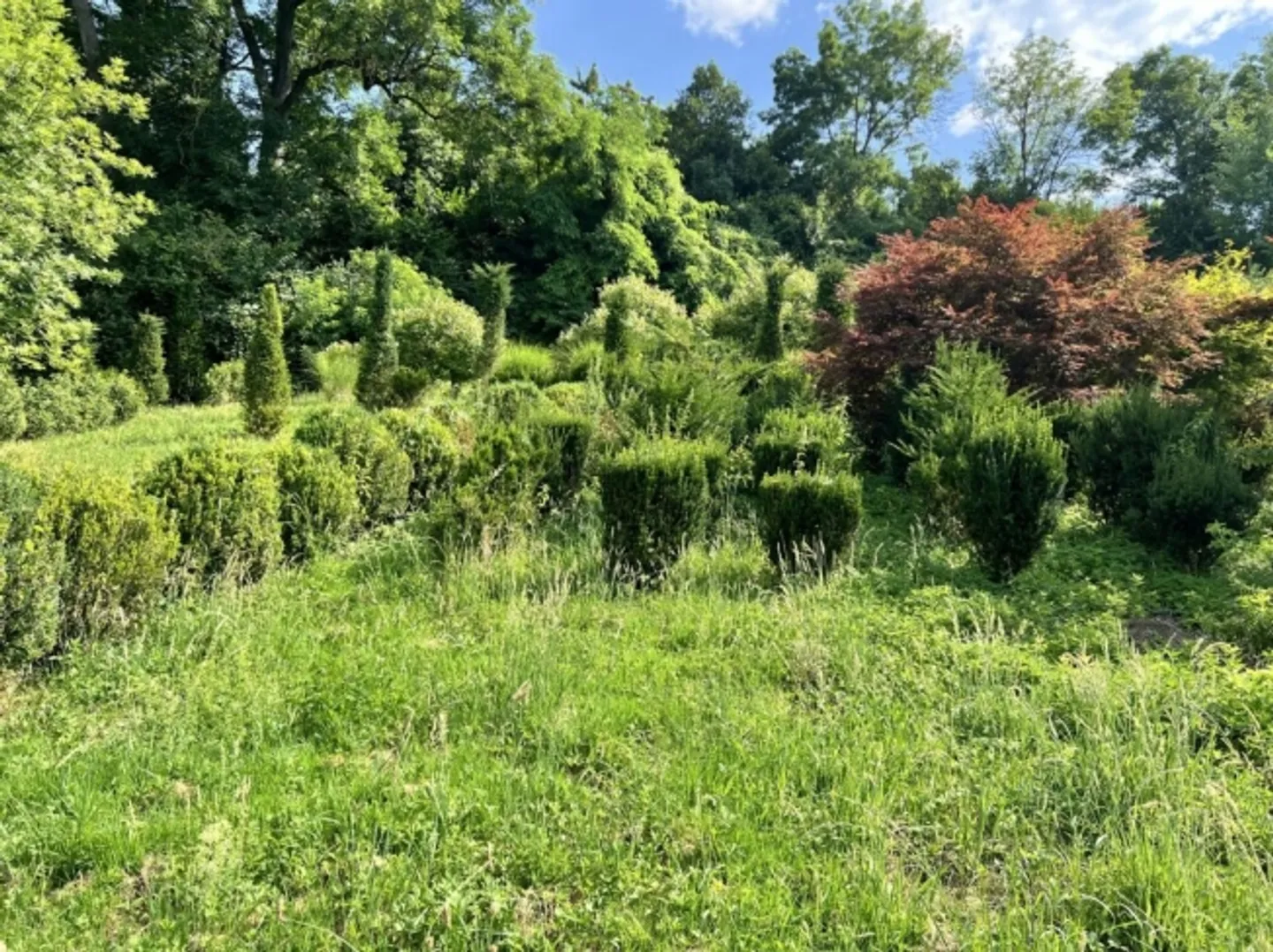 Land for Lease - approx. 2,500 m² - Photo 3 of 5