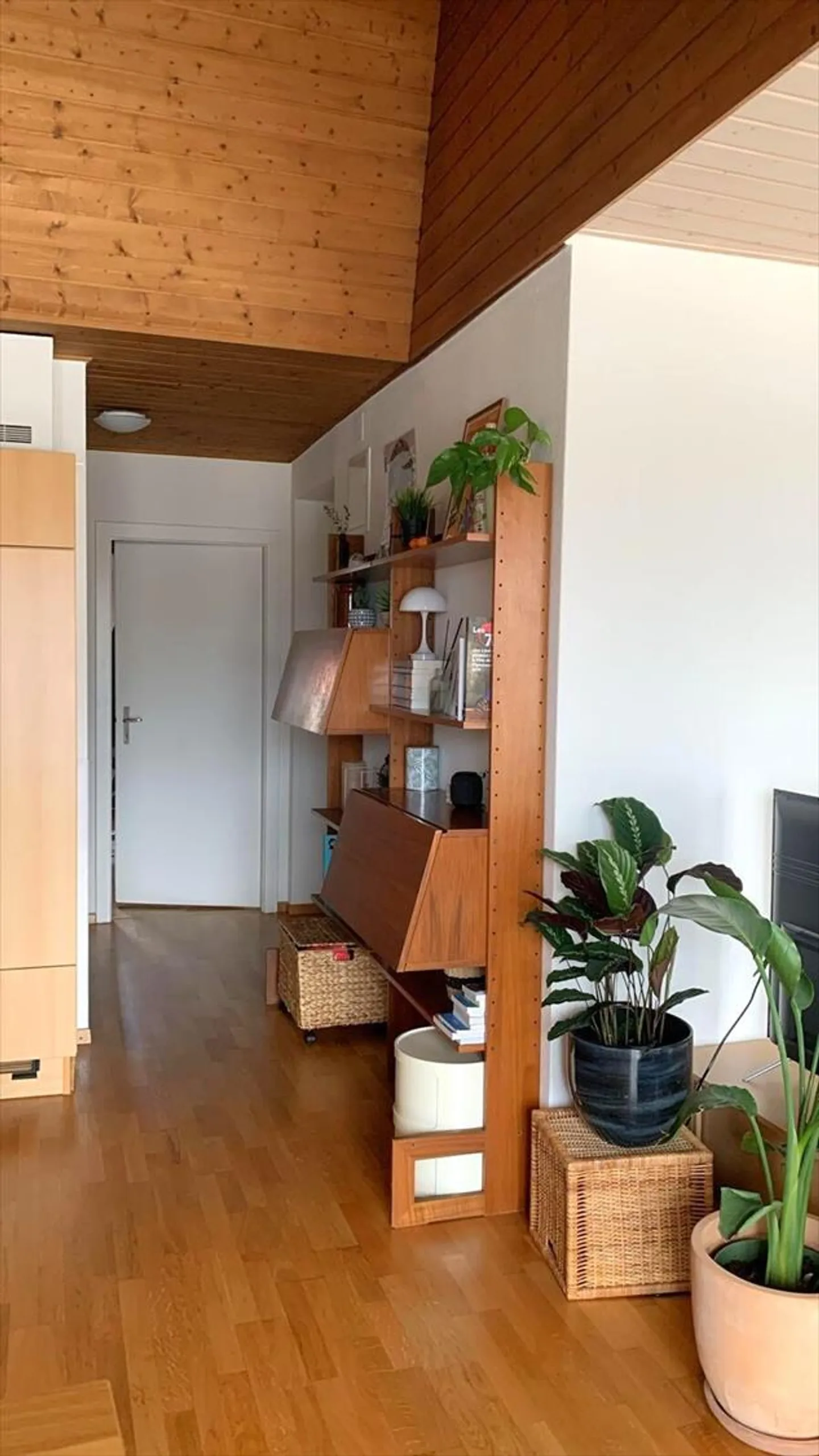3.5 Room Apartment - Photo 3 of 8