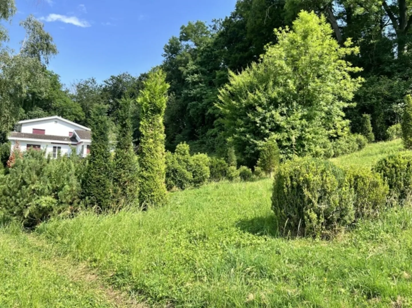 Land for Lease - approx. 2,500 m² - Photo 4 of 5
