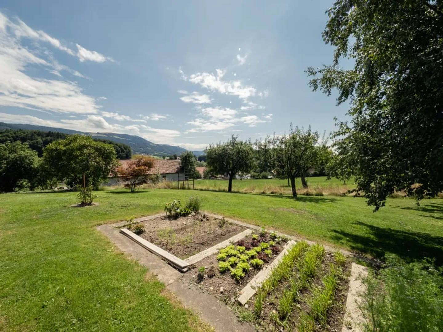 Appartamento duplex con ampi spazi esterni e al confine di un'area agricola - Foto 7 di 8